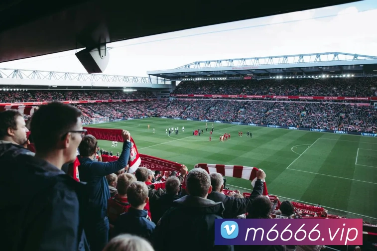 米乐m6发展历程